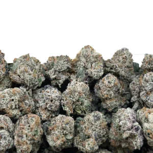 Bulk Super Exotic Smalls