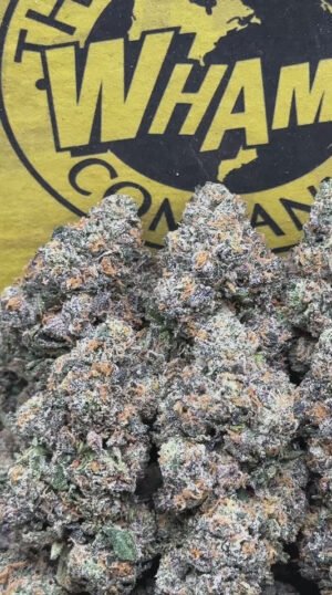 Runtz Zooshi (Hybrid)