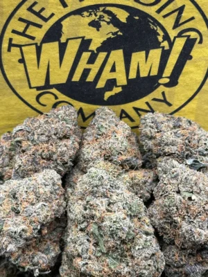 Permanent Marker Strain