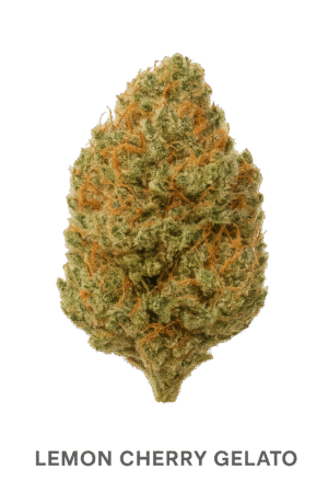 Lemon Cherry Gelato