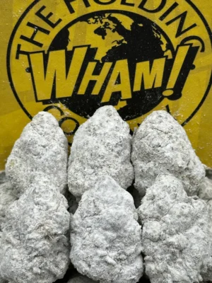 Big Swirlz Snowballs-Mango 🥭 Terped Snowballs