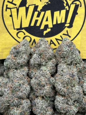 WHAM Strain