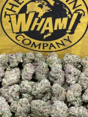 Grape Soda SM (Hybrid)