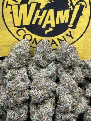 Rainbow Sherbet Strain