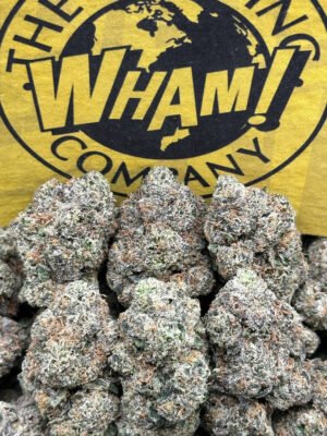 WHAM Strain