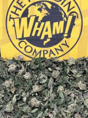 Buy Lemon Cherry Gelato strain