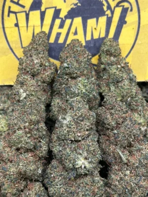 Zelonade-Strawberry Terp Flowers ( Indica Hybrid)